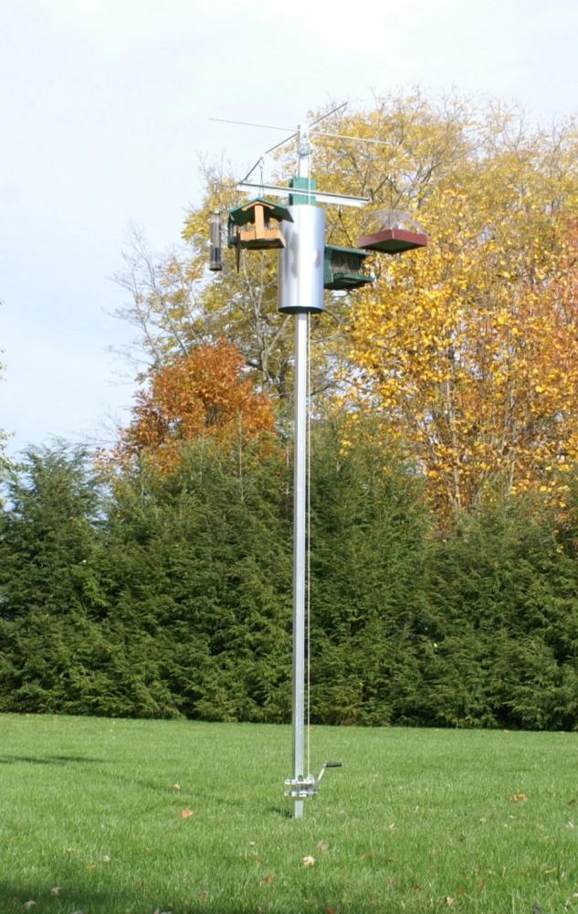 Feeding Station Close-up